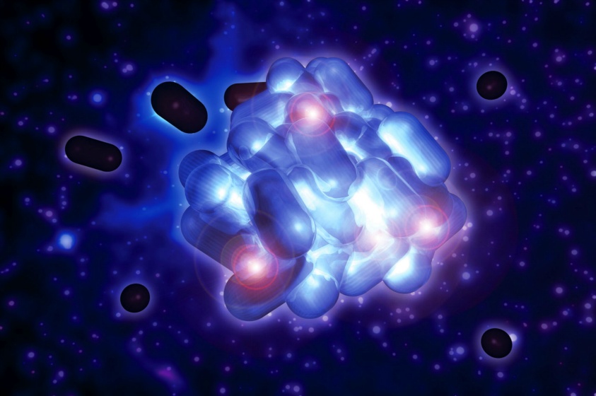 Jacey digital illustration33